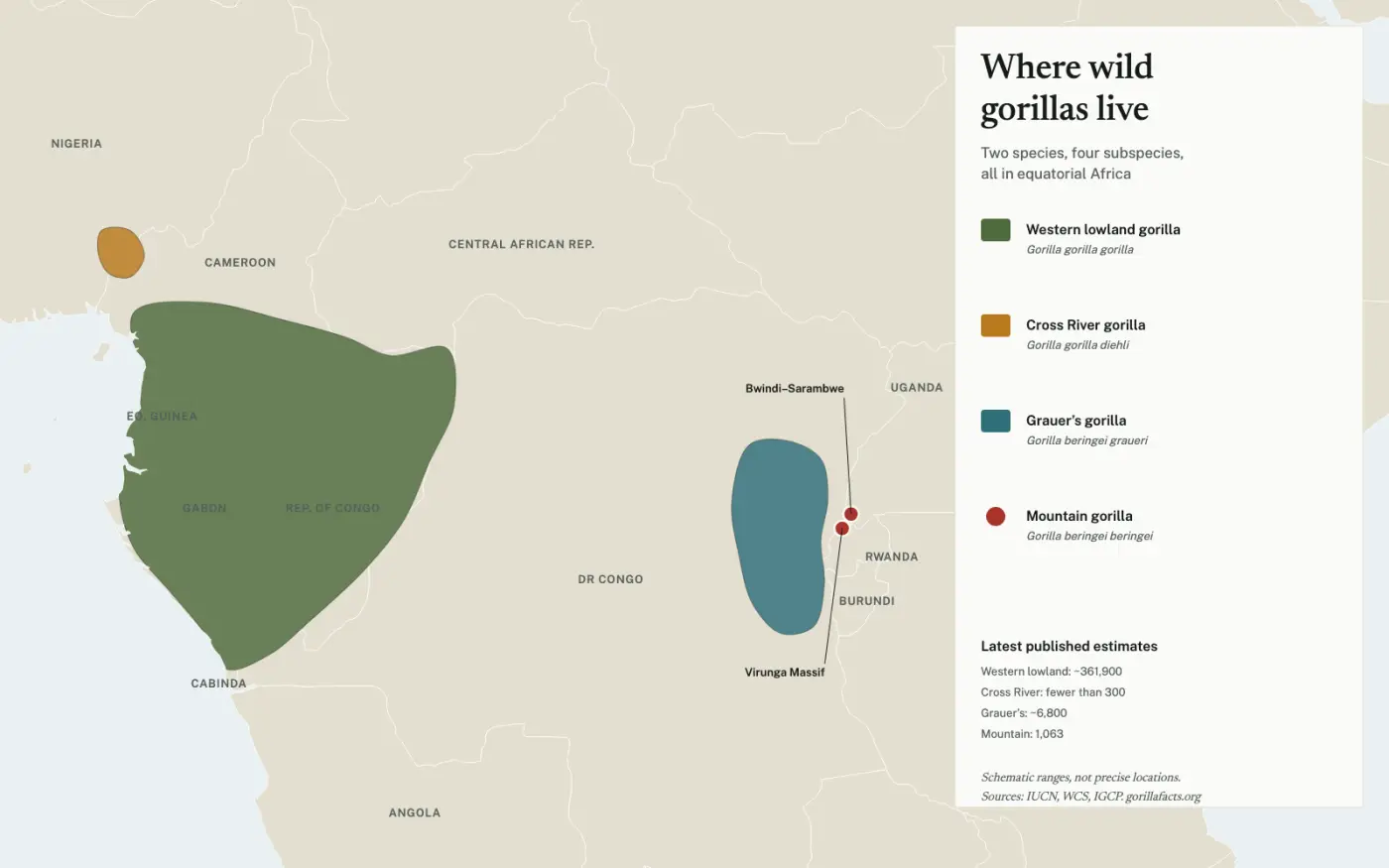Schematic map of Africa showing the ranges of the four gorilla subspecies